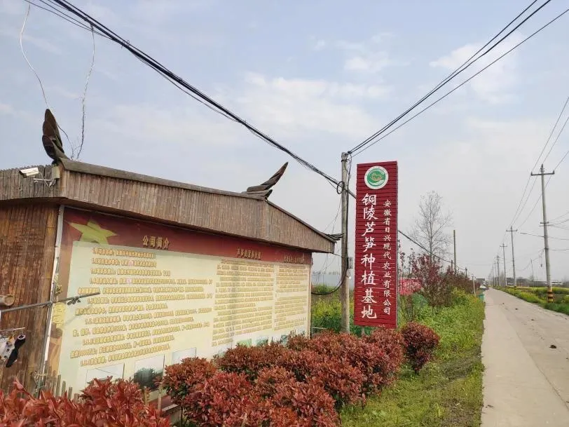国星助力扶贫基地农产品