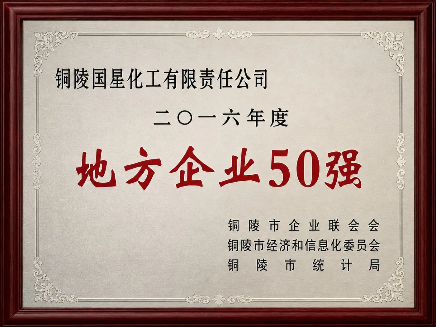 2016年度铜陵市地方企业50强