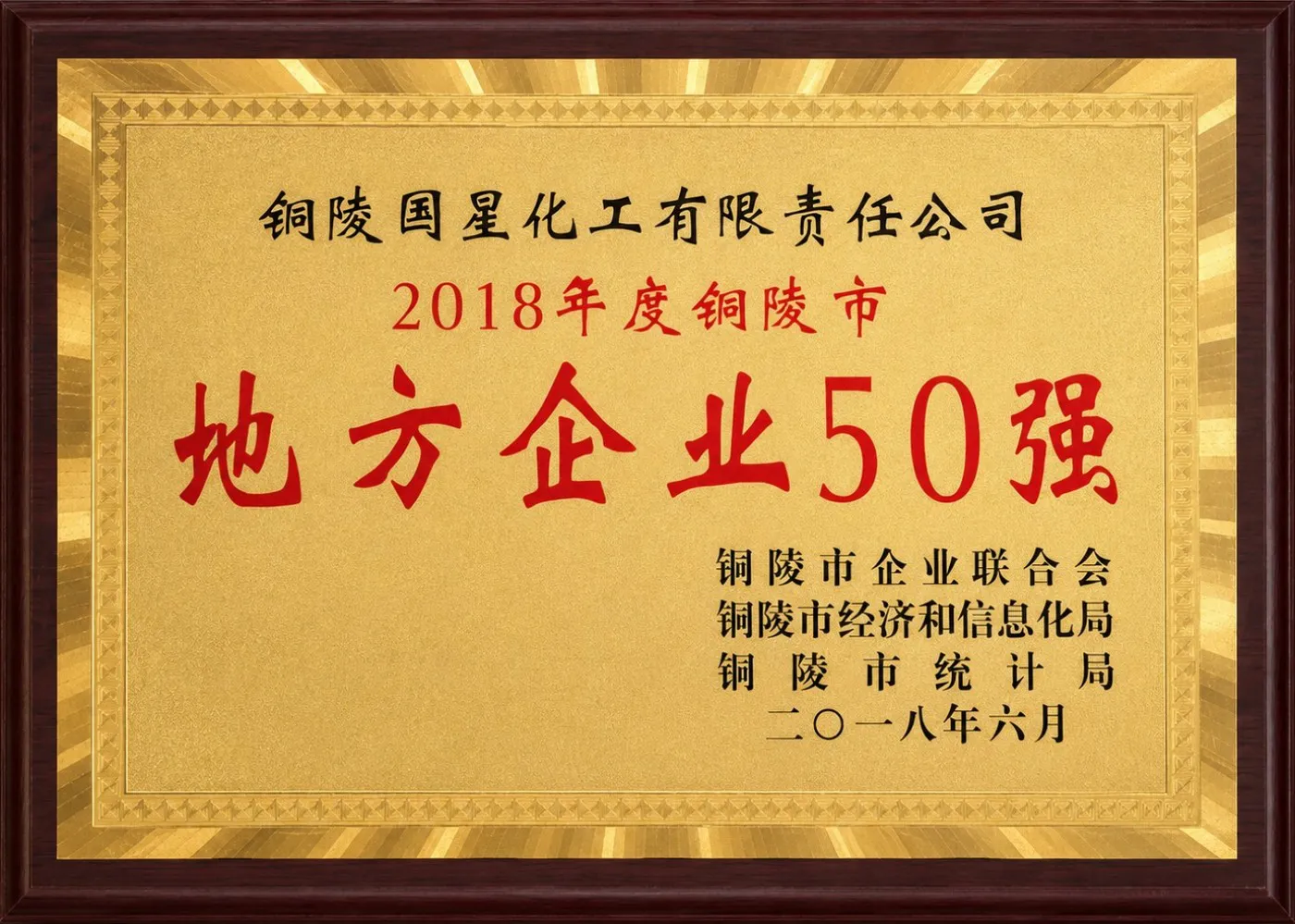 2018年度铜陵市地方企业50强