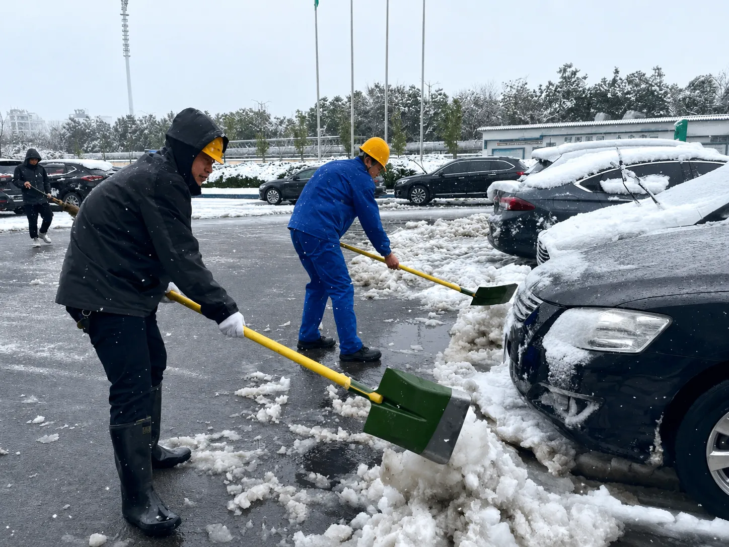 国星组织各部门清积雪义务劳动
